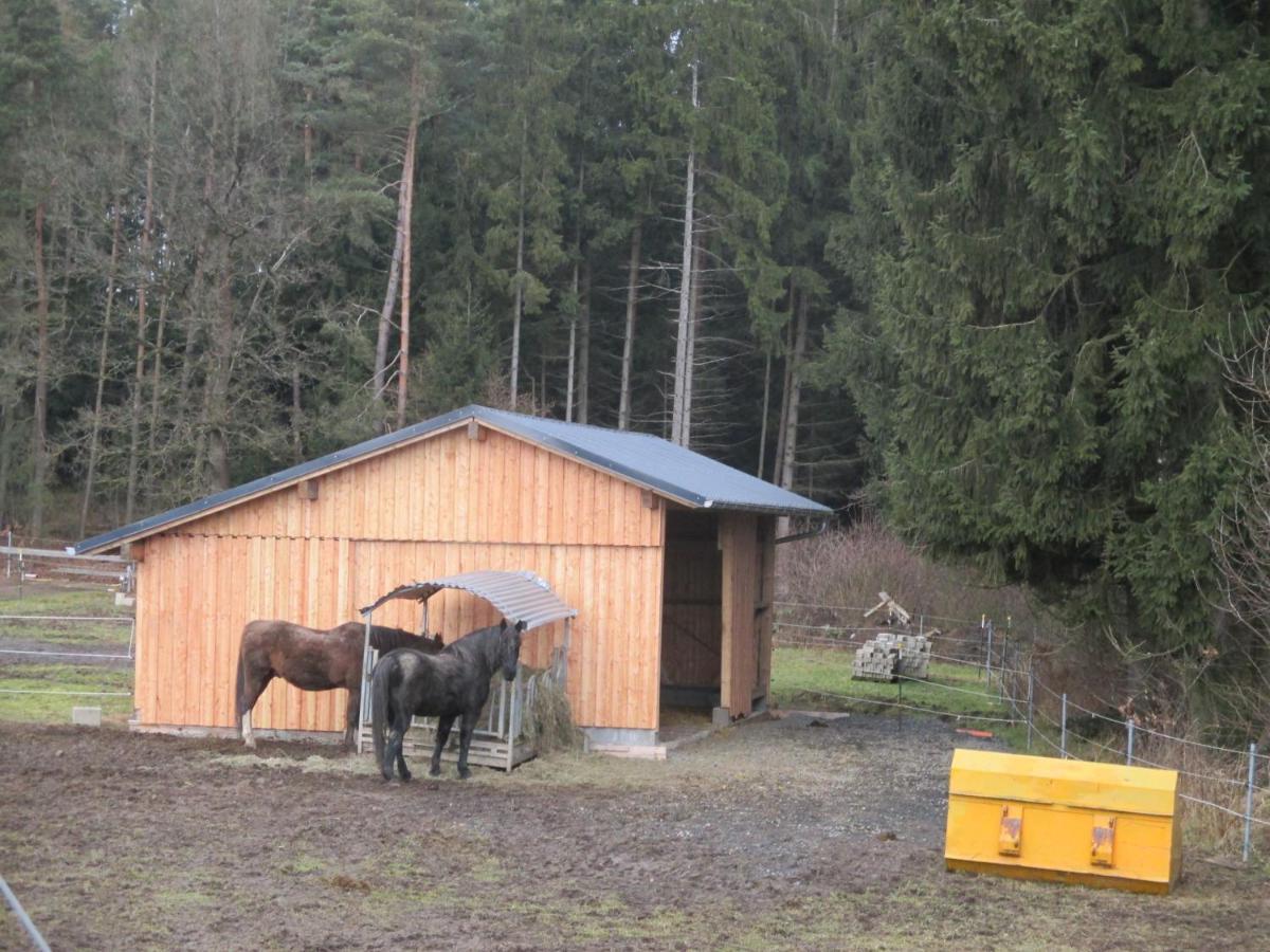 Baerenhof Διαμέρισμα Tirschenreuth Εξωτερικό φωτογραφία